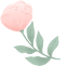 DM_20240522092001_013.PNG